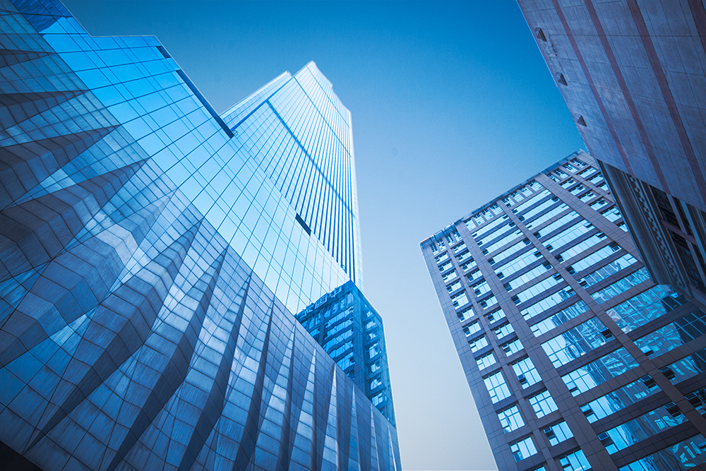 东港市禽蛋市场